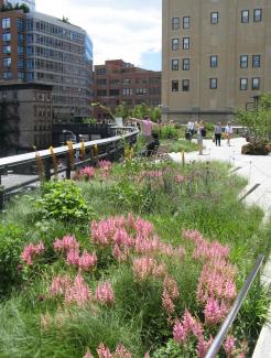 The High Line, New York